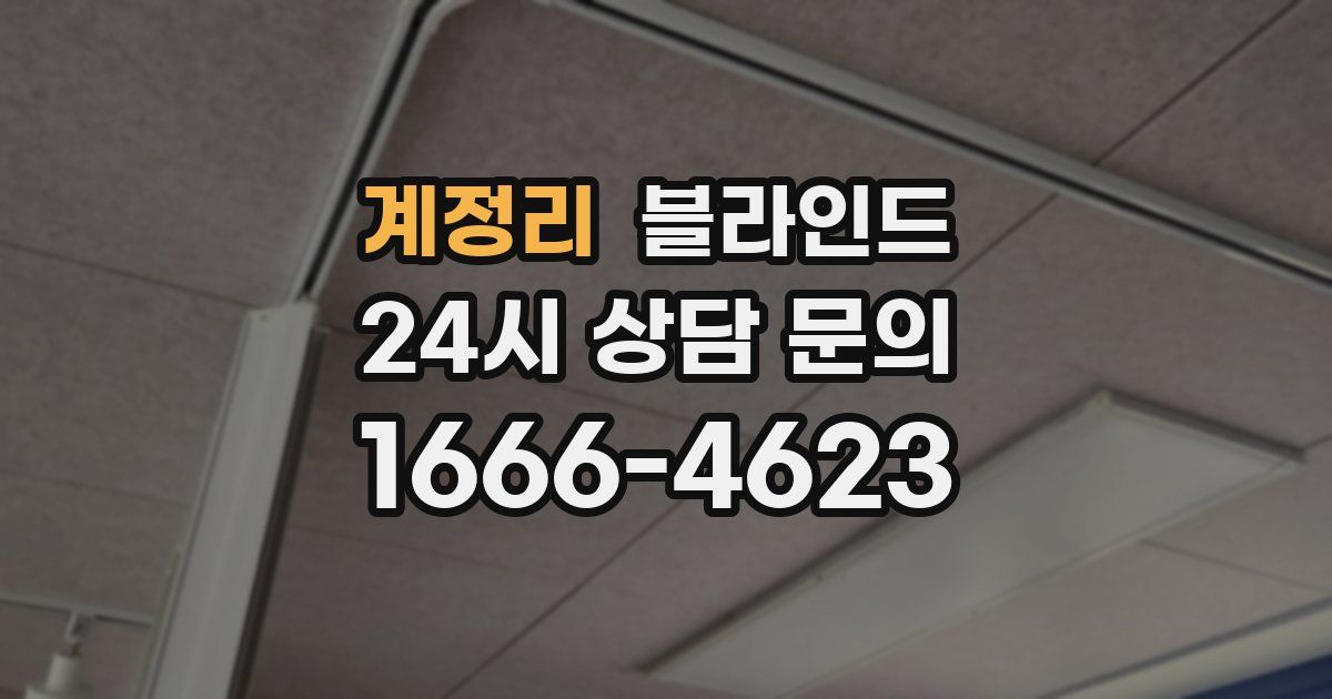 계정리 블라인드