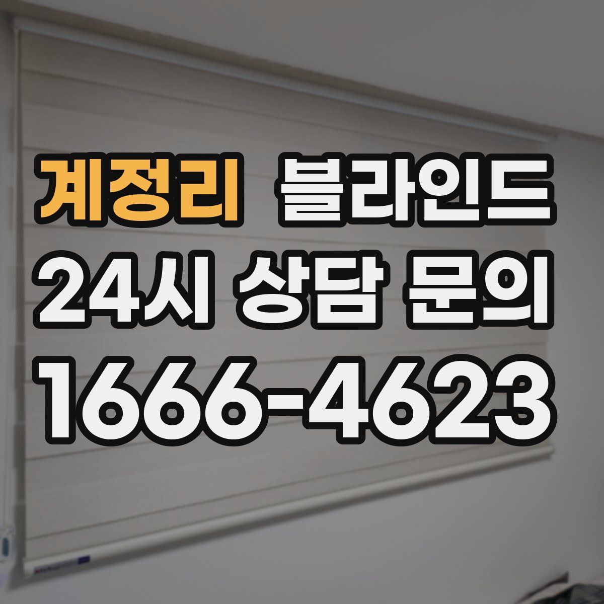 계정리 블라인드