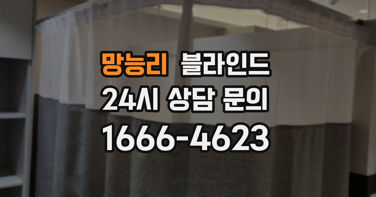 망능리 블라인드