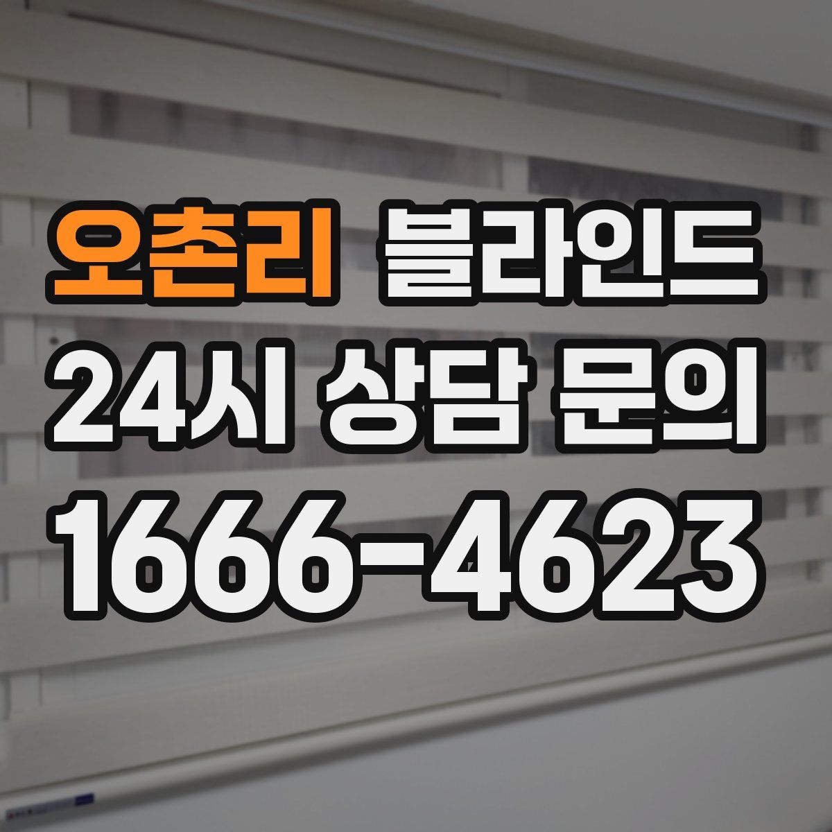 오촌리 블라인드
