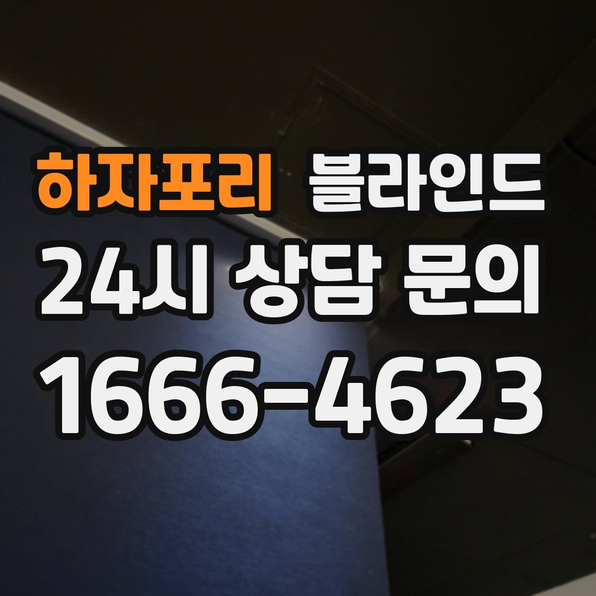하자포리 블라인드