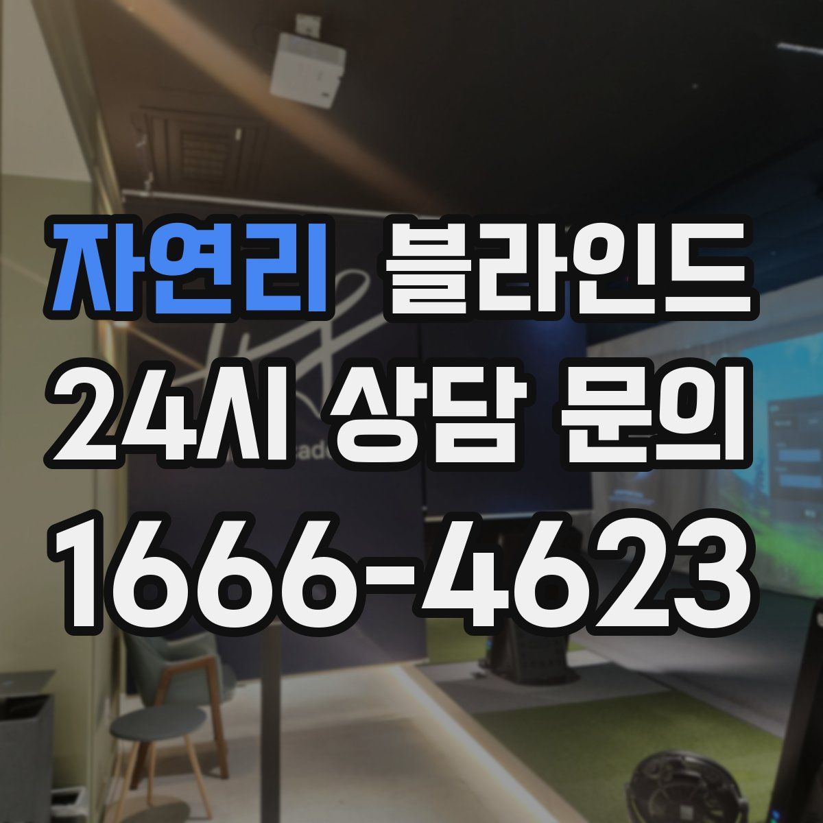 자연리 블라인드