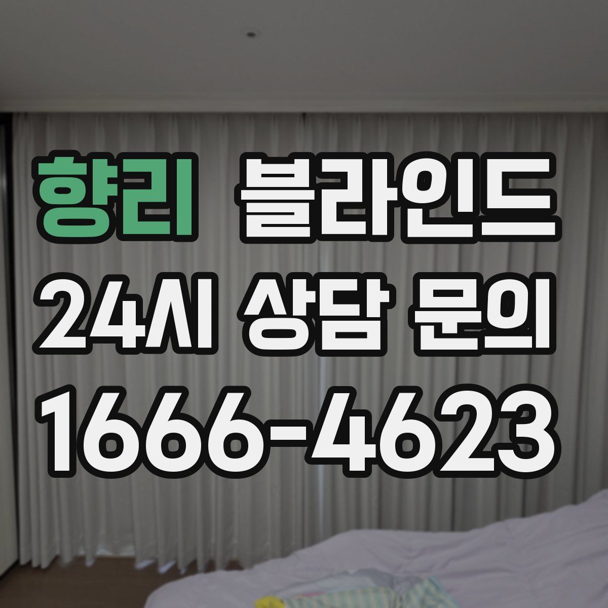 향리 블라인드