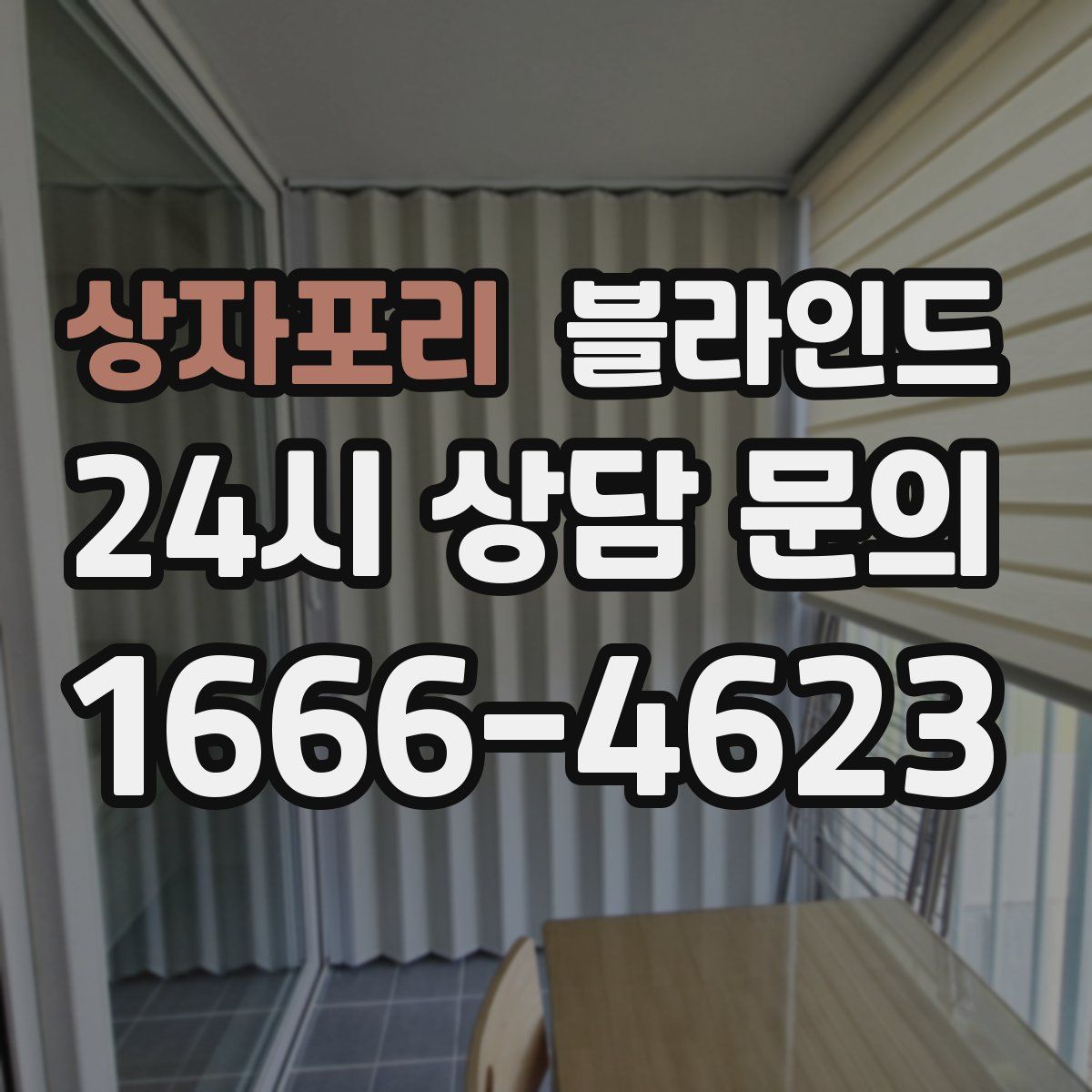 상자포리 블라인드