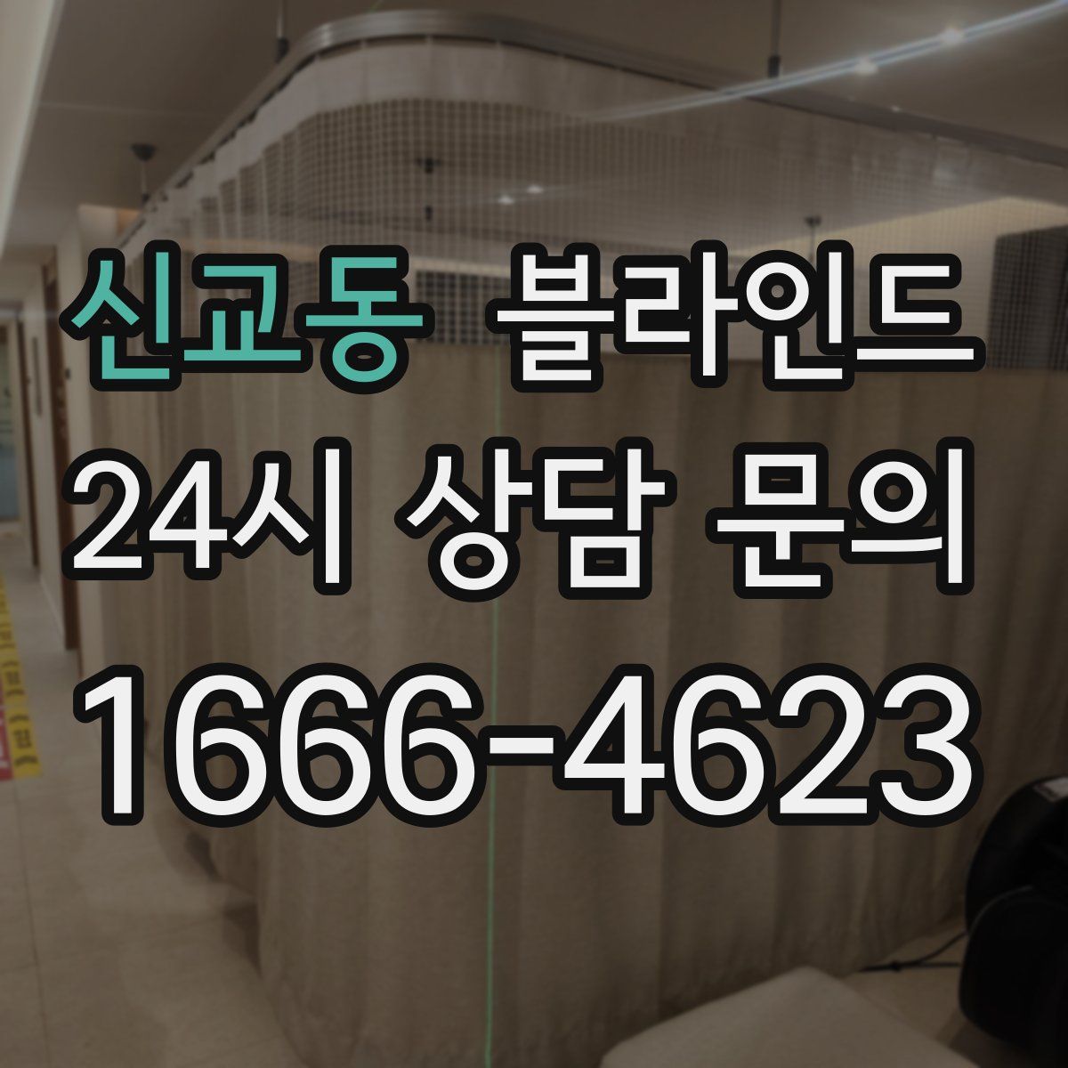 신교동 블라인드
