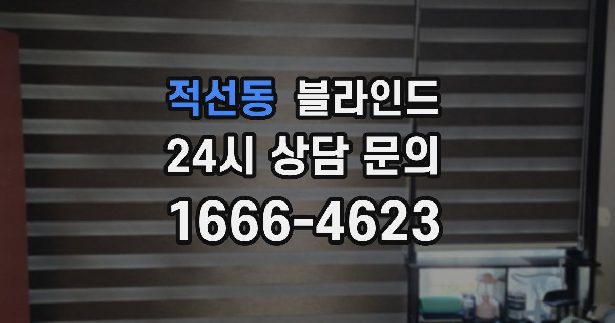 적선동 블라인드