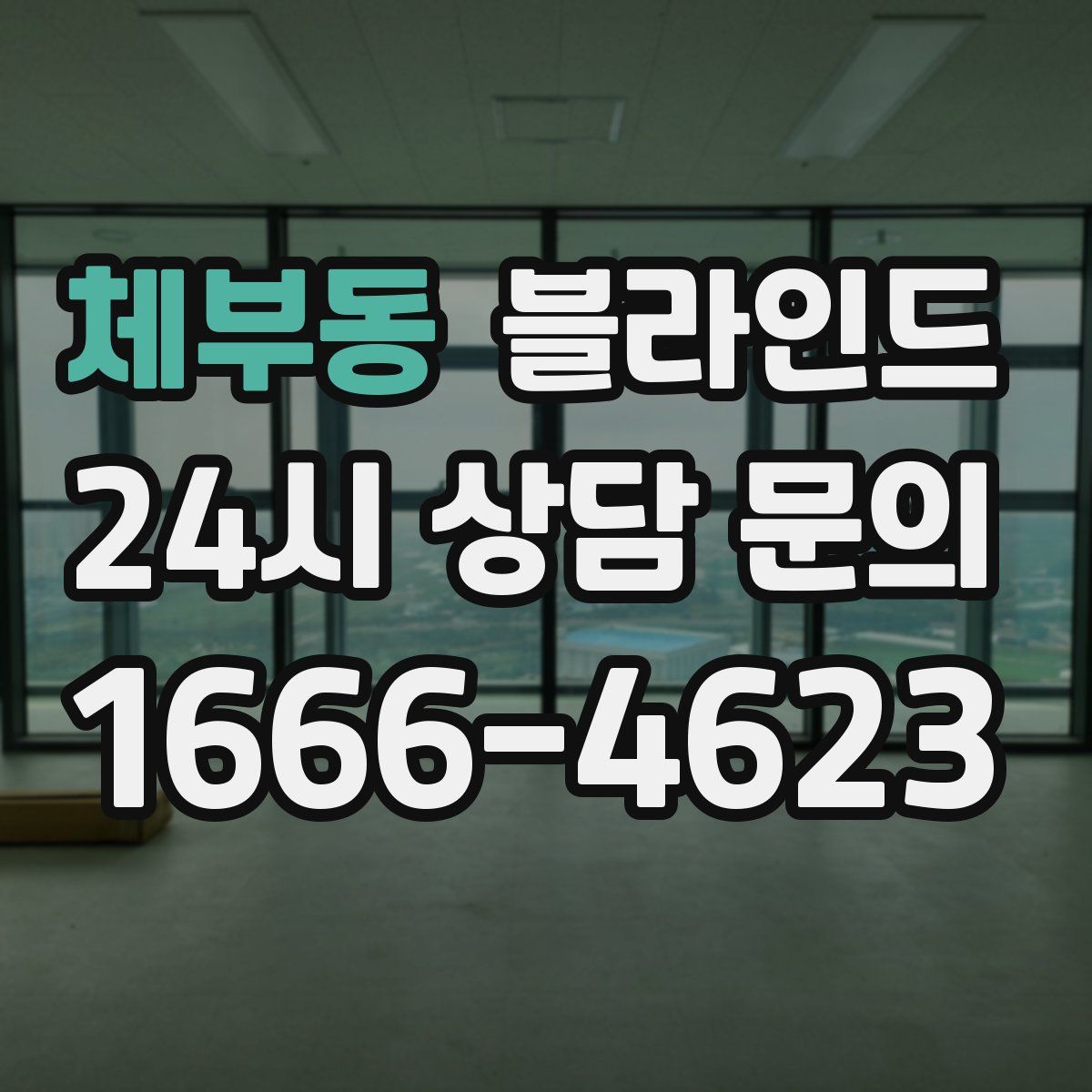 체부동 블라인드