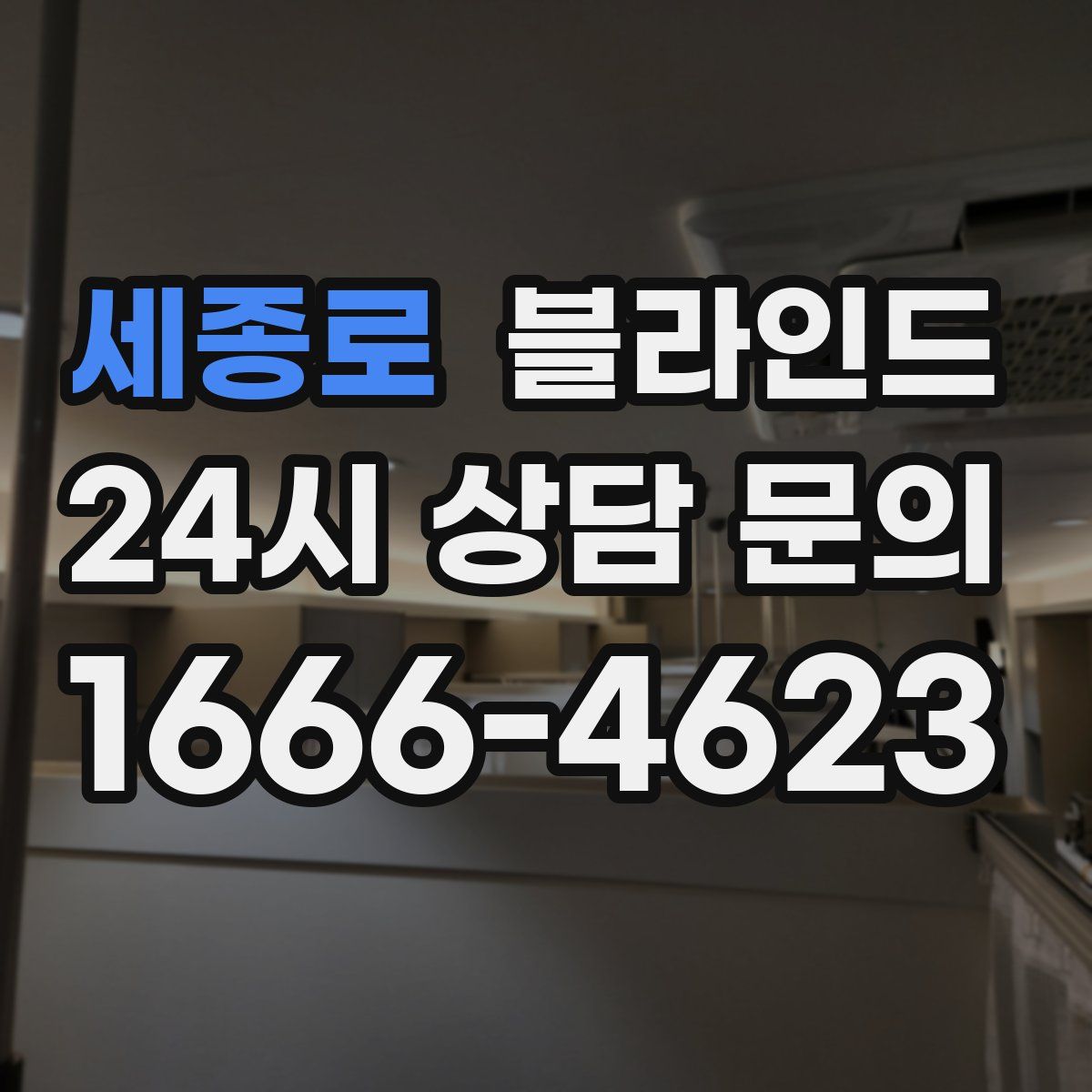세종로 블라인드