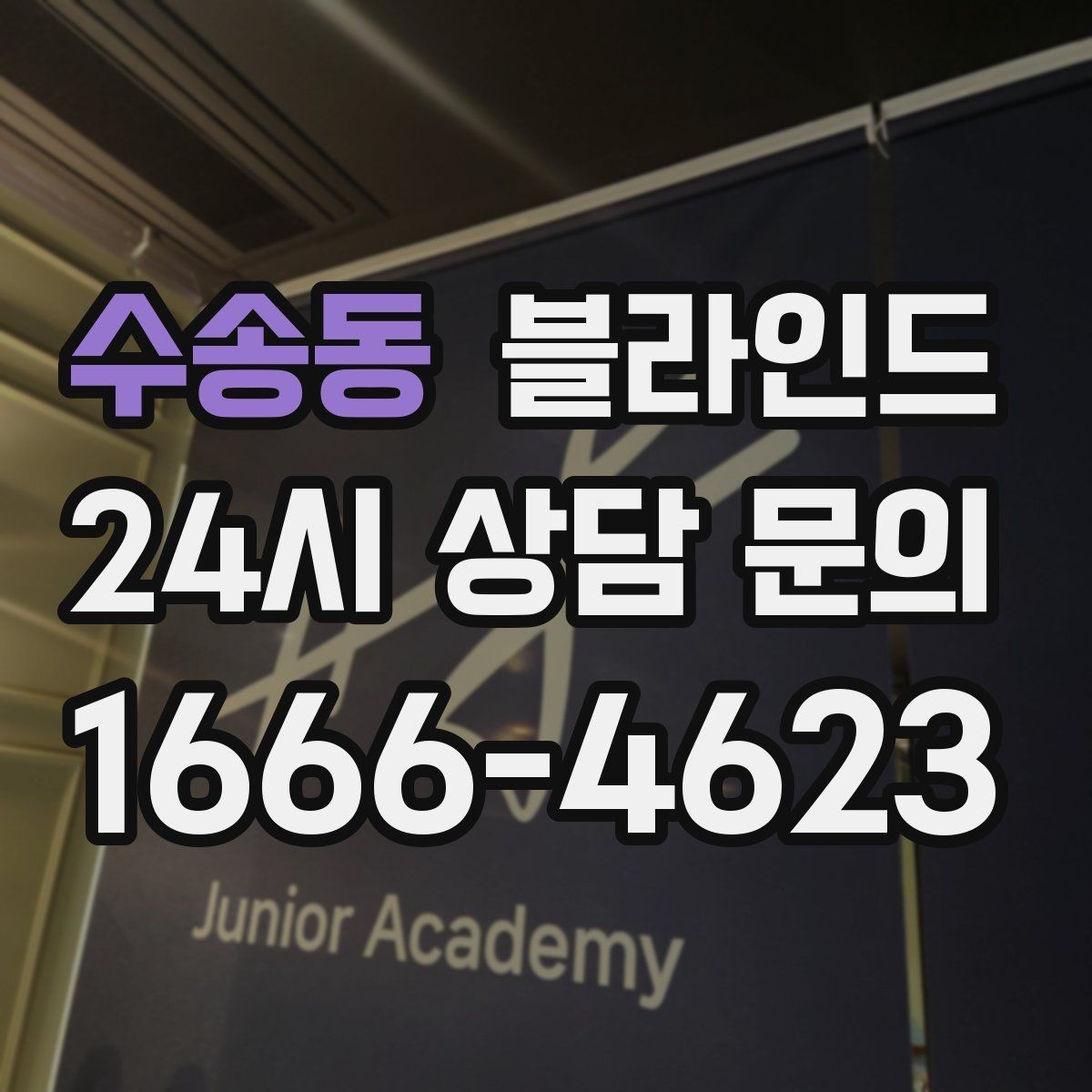 수송동 블라인드 선택 시 먼저 보는 기준
