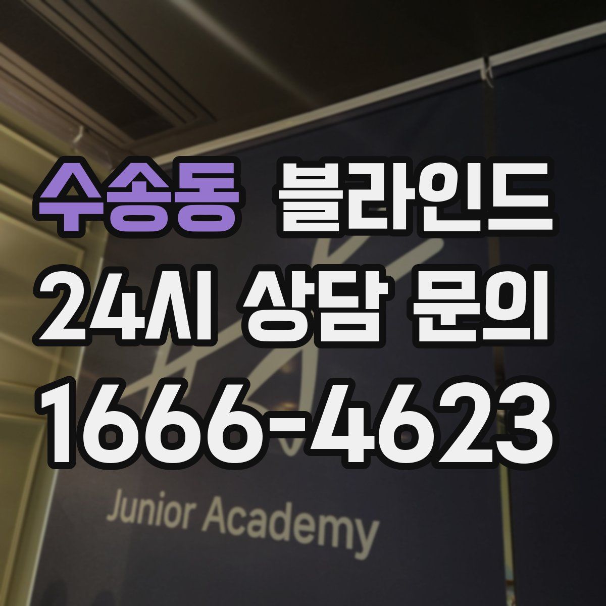 수송동 블라인드