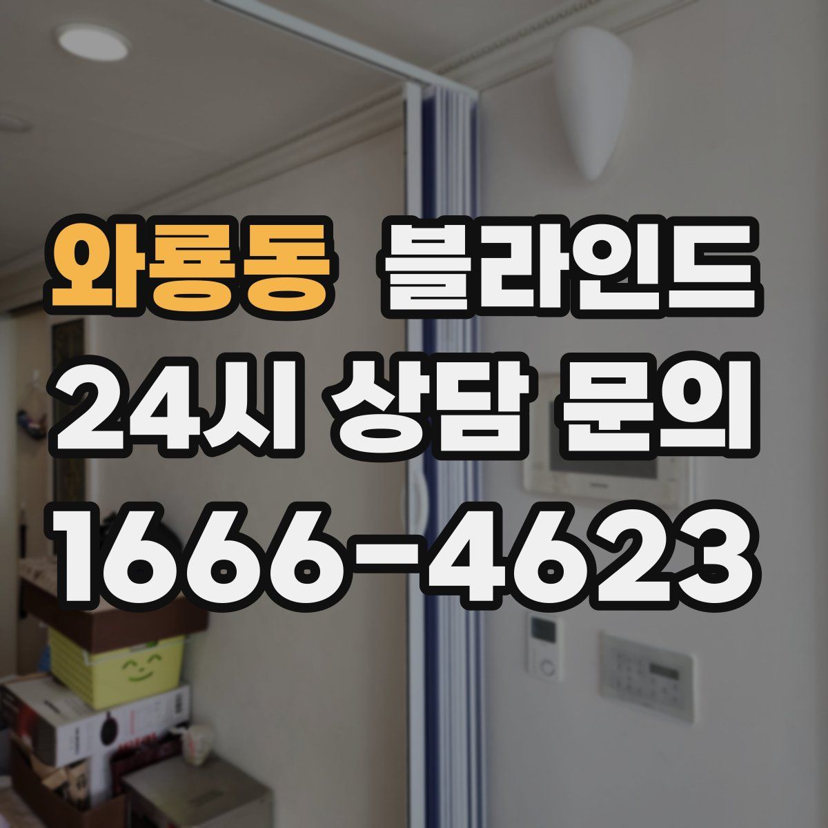 와룡동 블라인드