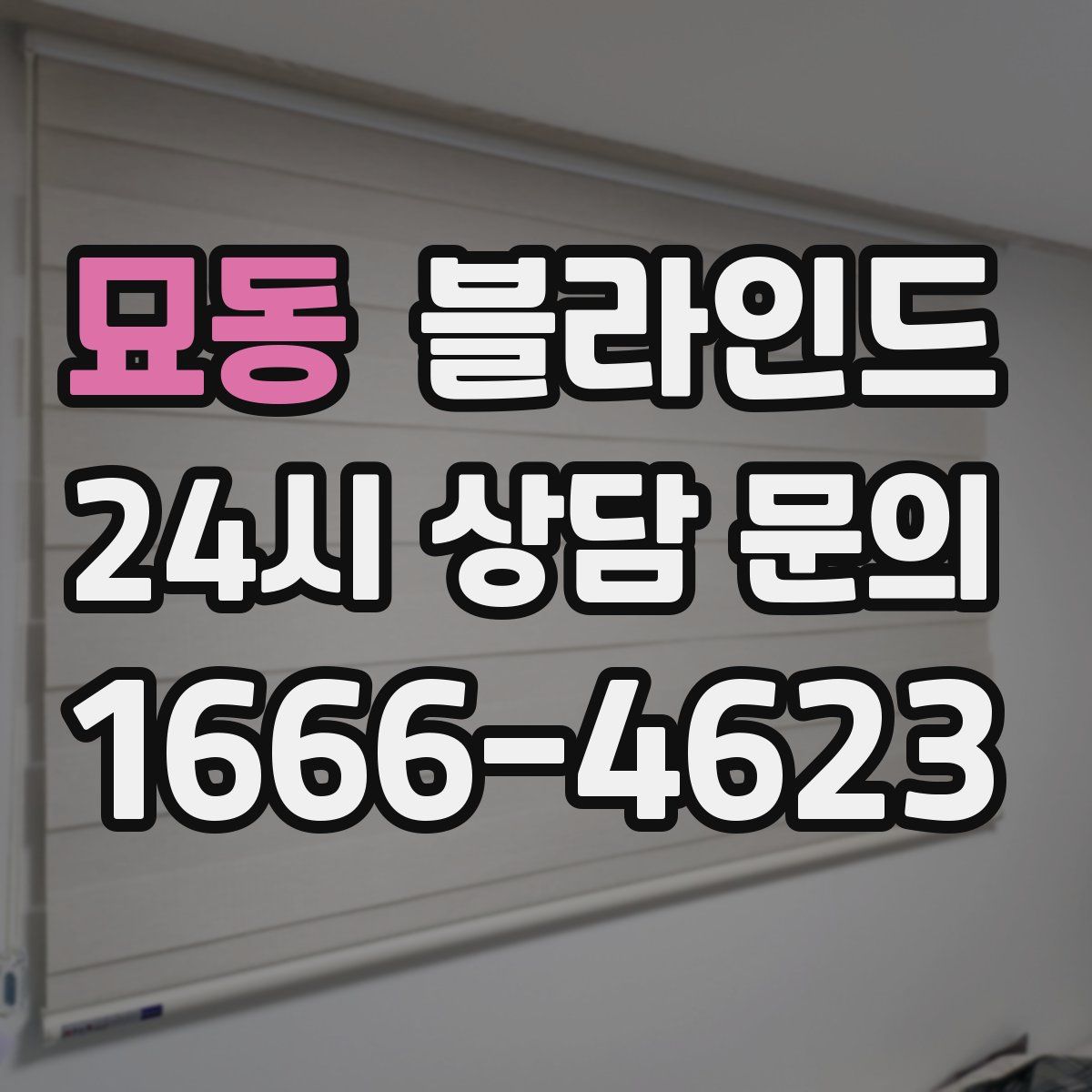묘동 블라인드