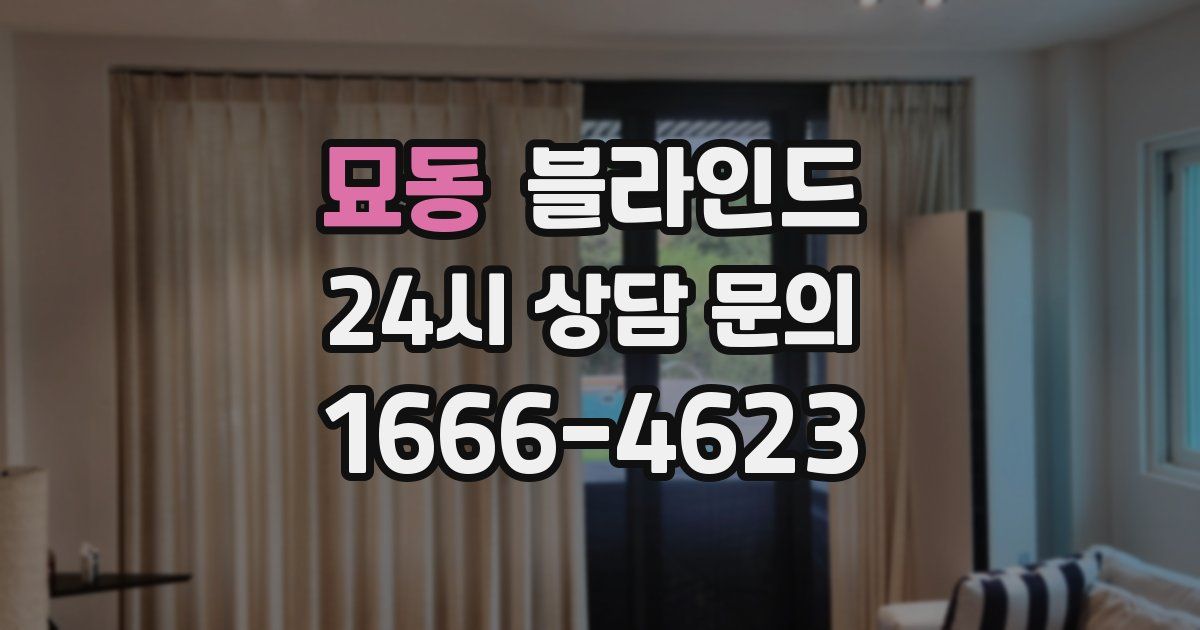 묘동 블라인드