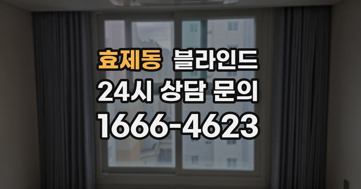 효제동 블라인드