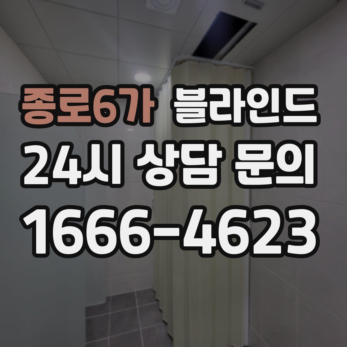종로6가 블라인드