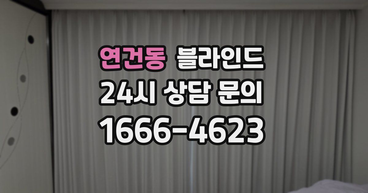 연건동 블라인드