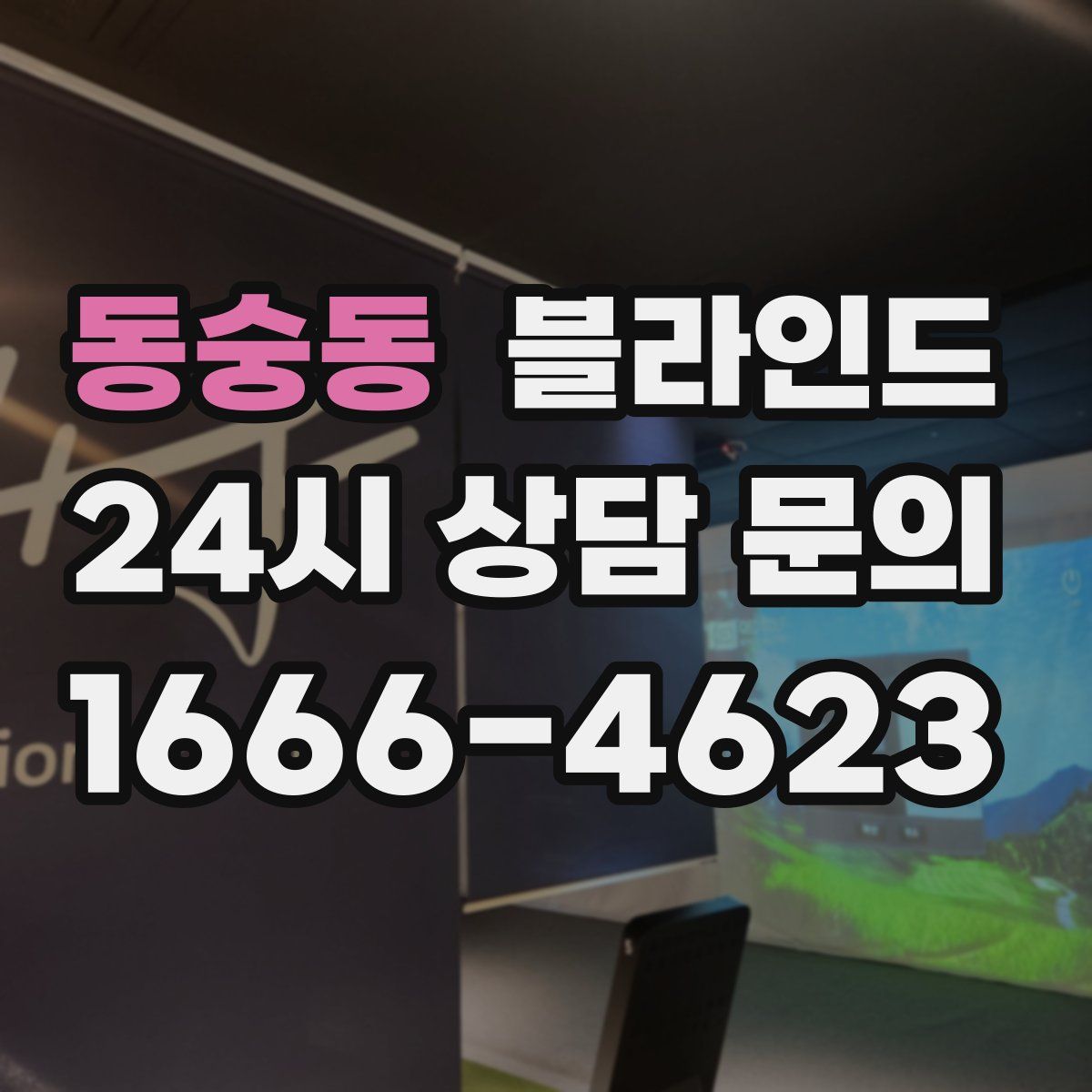 동숭동 블라인드