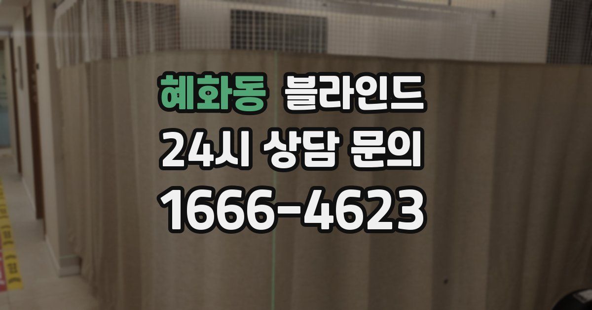 혜화동 블라인드