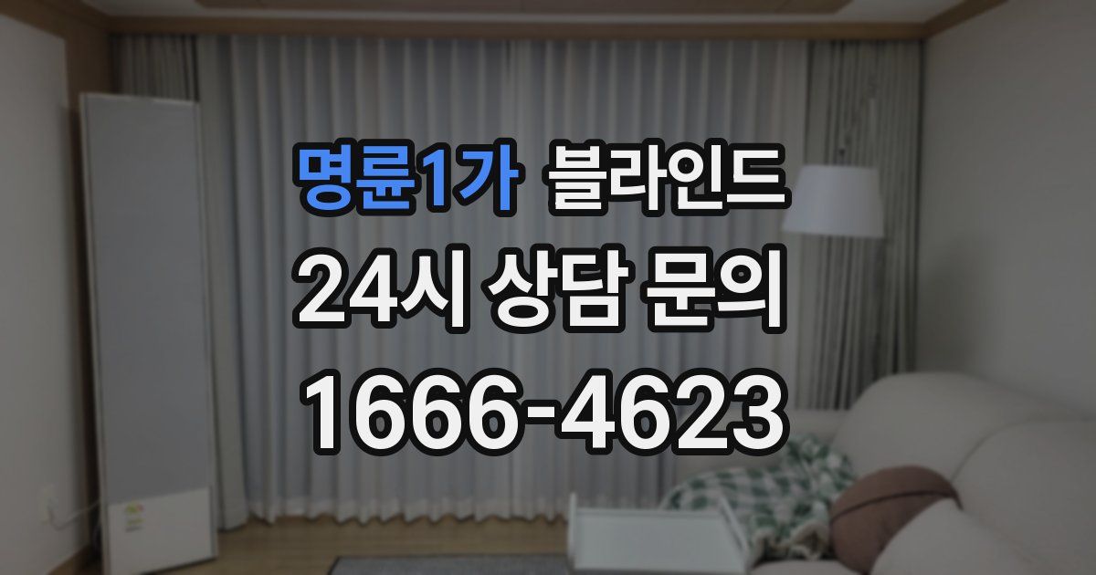 명륜1가 블라인드