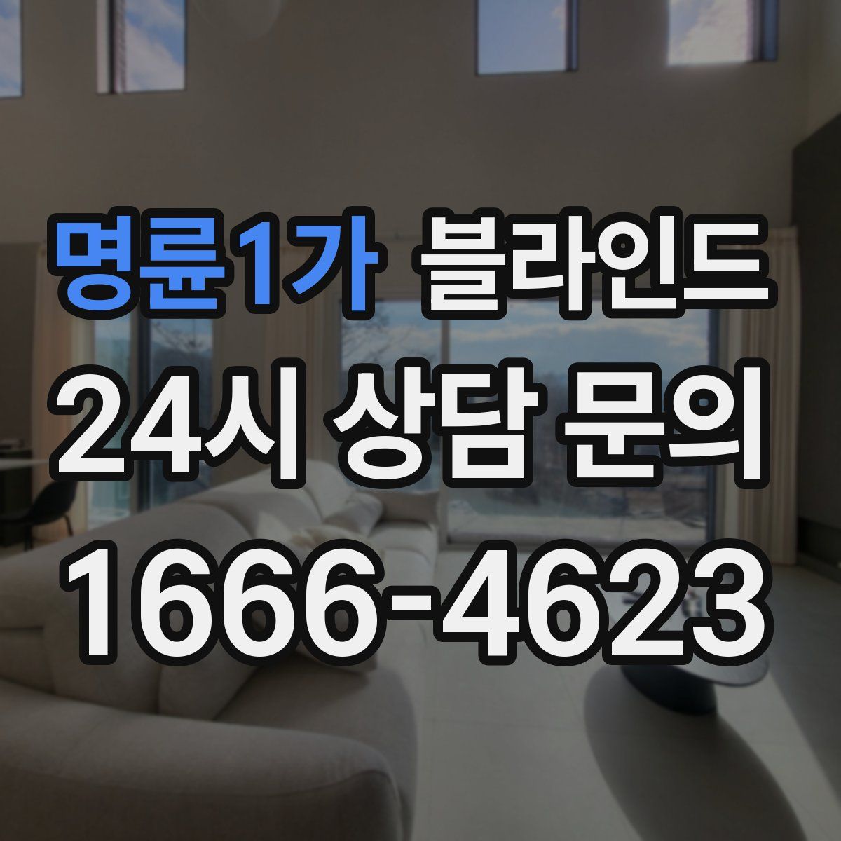 명륜1가 블라인드