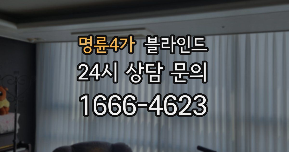 명륜4가 블라인드