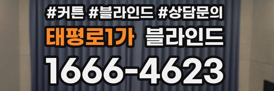 태평로1가 블라인드