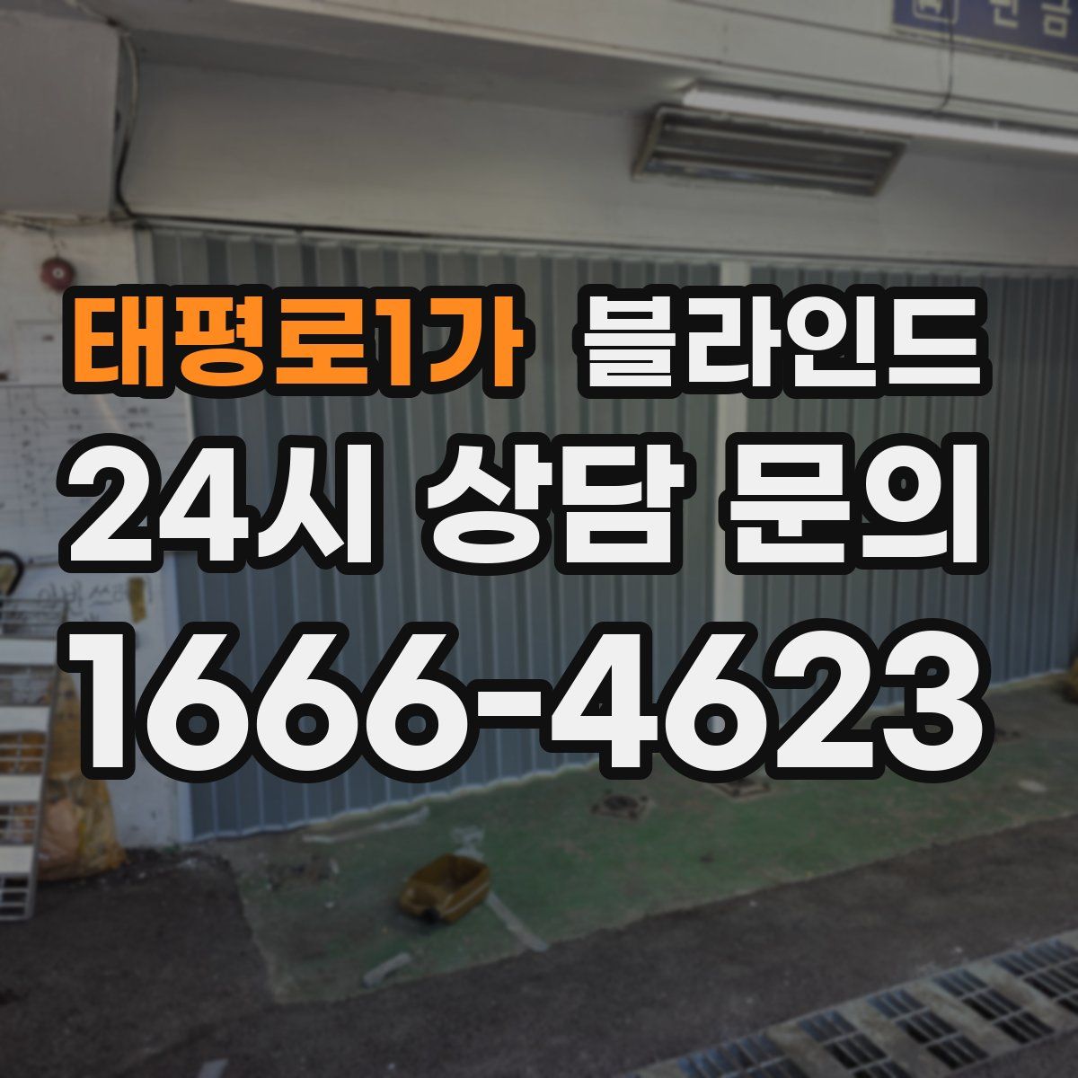 태평로1가 블라인드