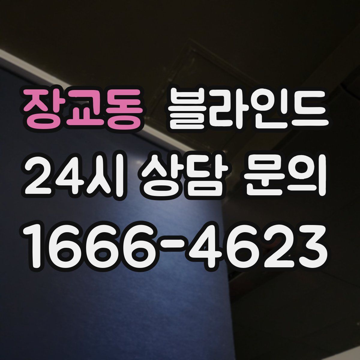 장교동 블라인드