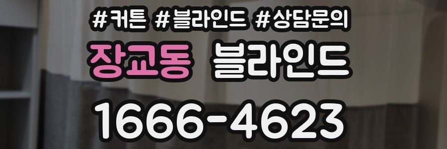 장교동 블라인드