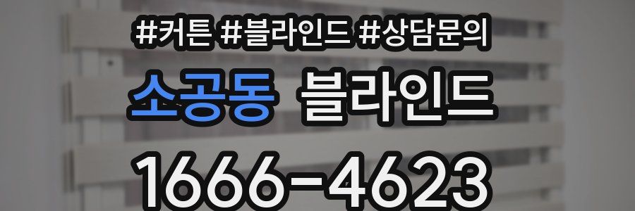 소공동 블라인드