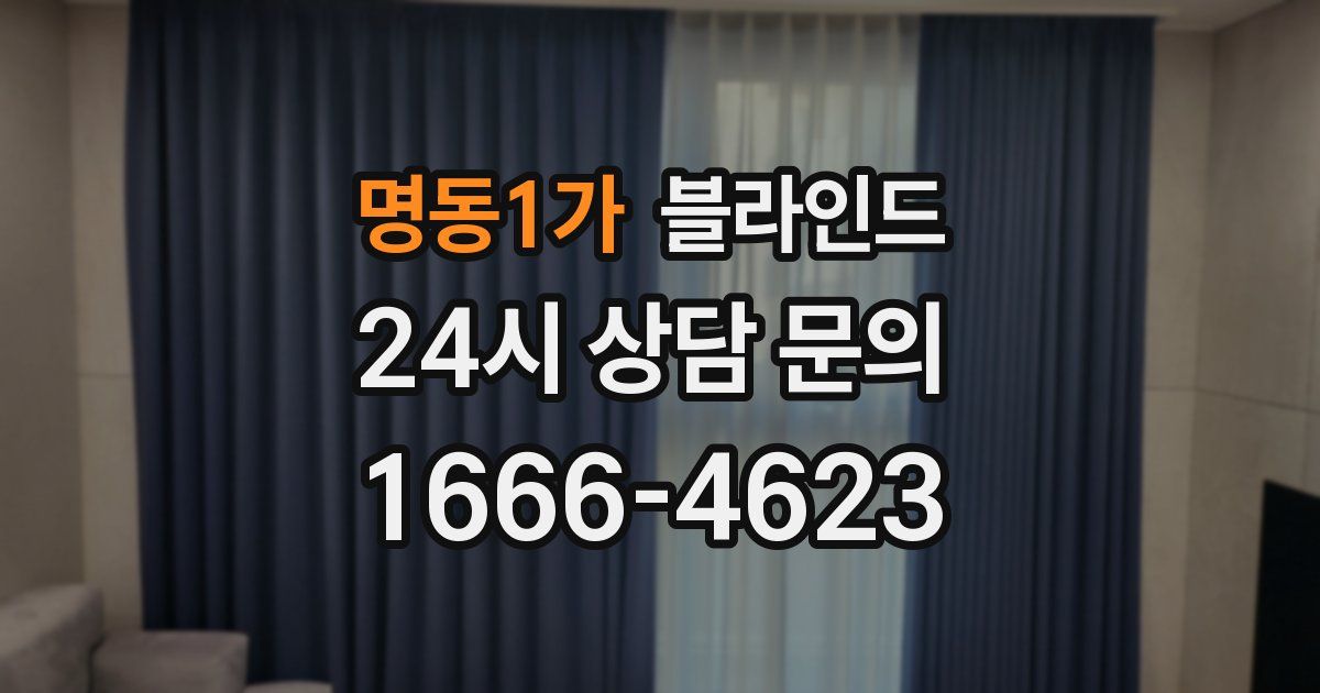 명동1가 블라인드