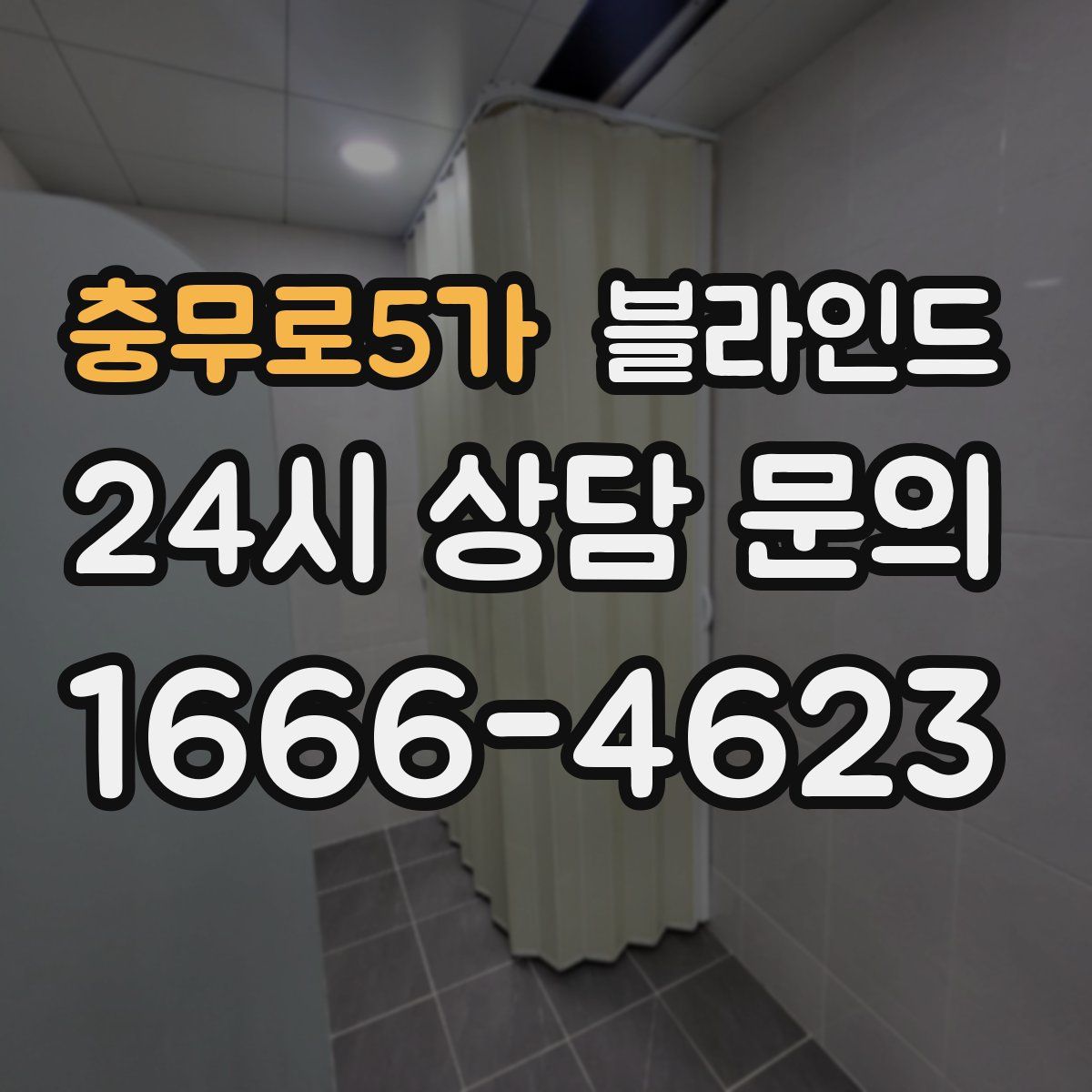 충무로5가 블라인드