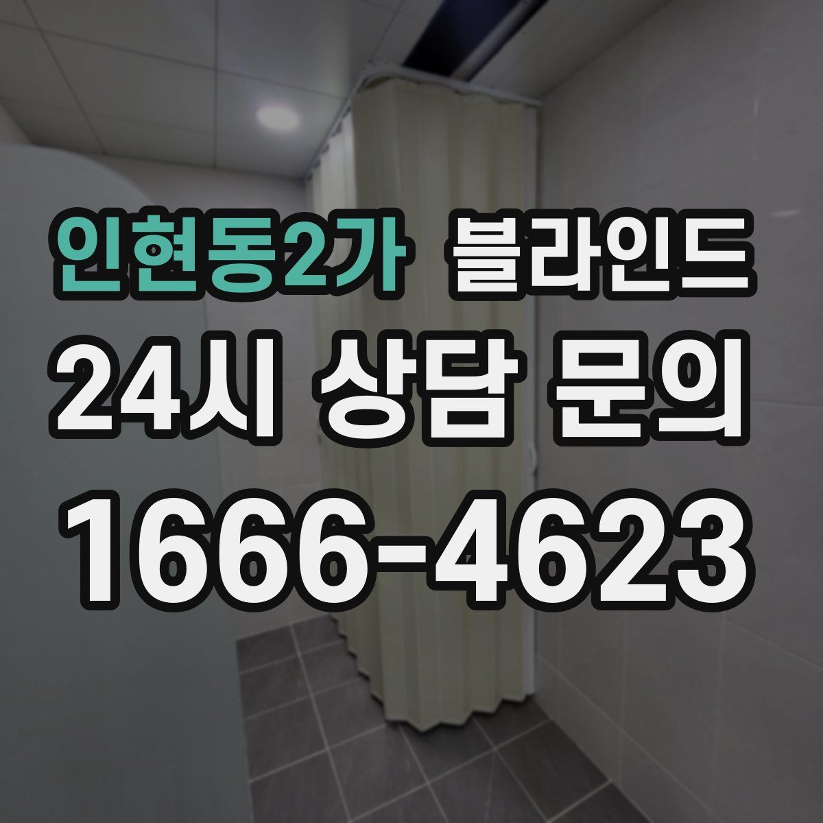인현동2가 블라인드