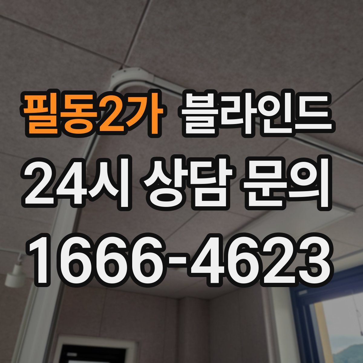 필동2가 블라인드