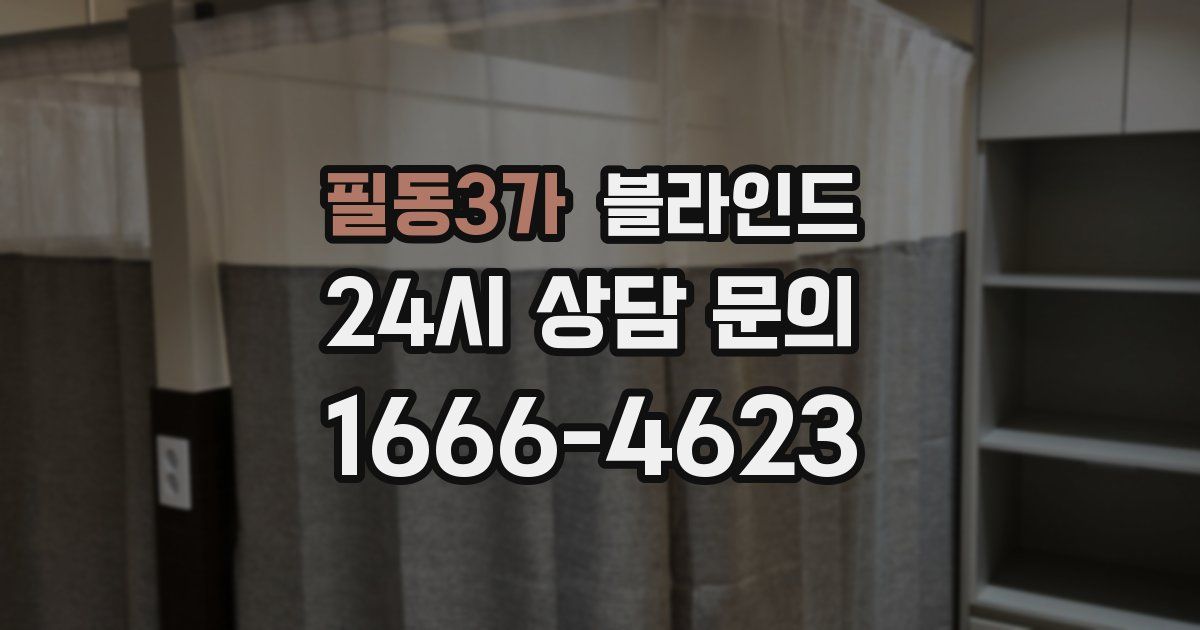 필동3가 블라인드
