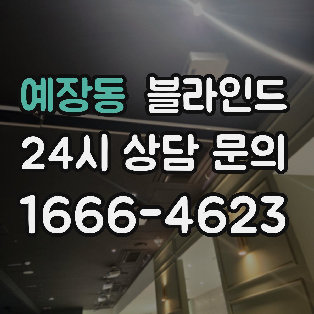 예장동 블라인드