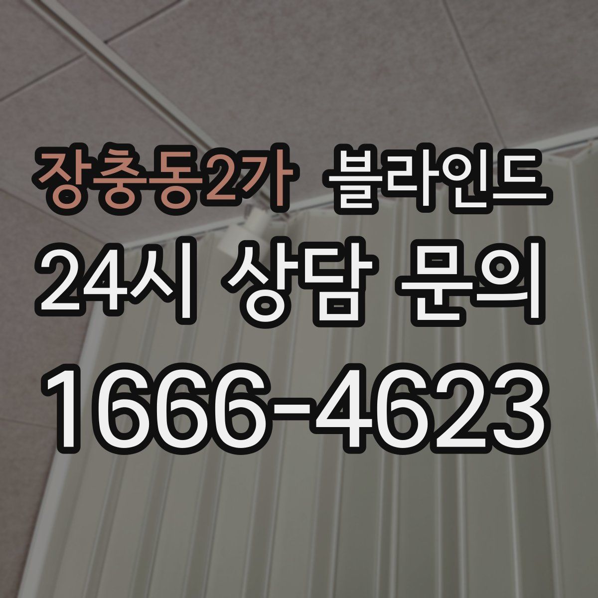 장충동2가 블라인드
