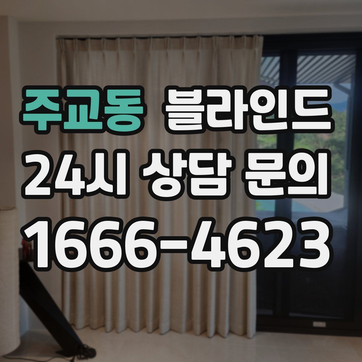 주교동 블라인드