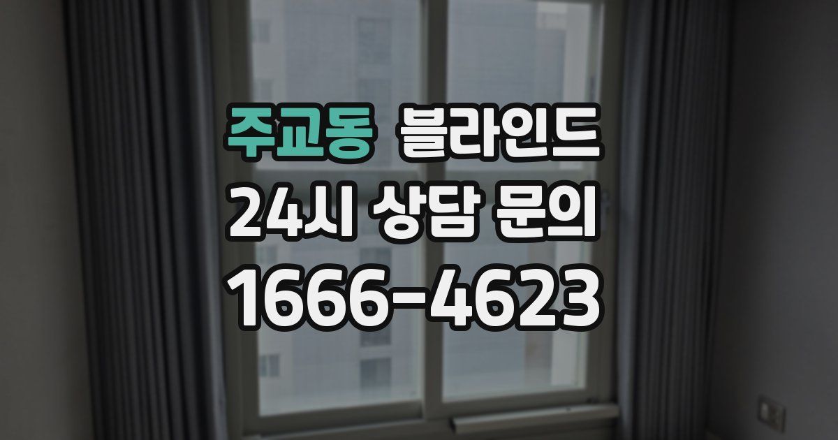 주교동 블라인드