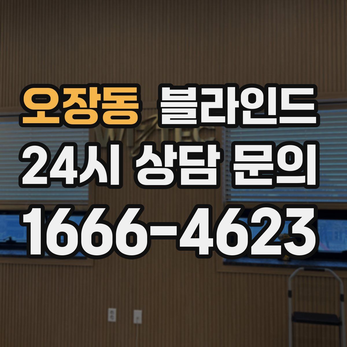 오장동 블라인드
