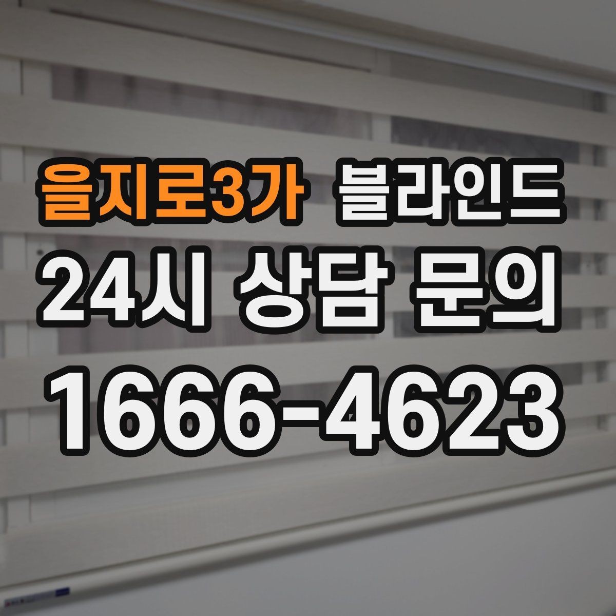 을지로3가 블라인드 구매 전 비교해야 할 항목
