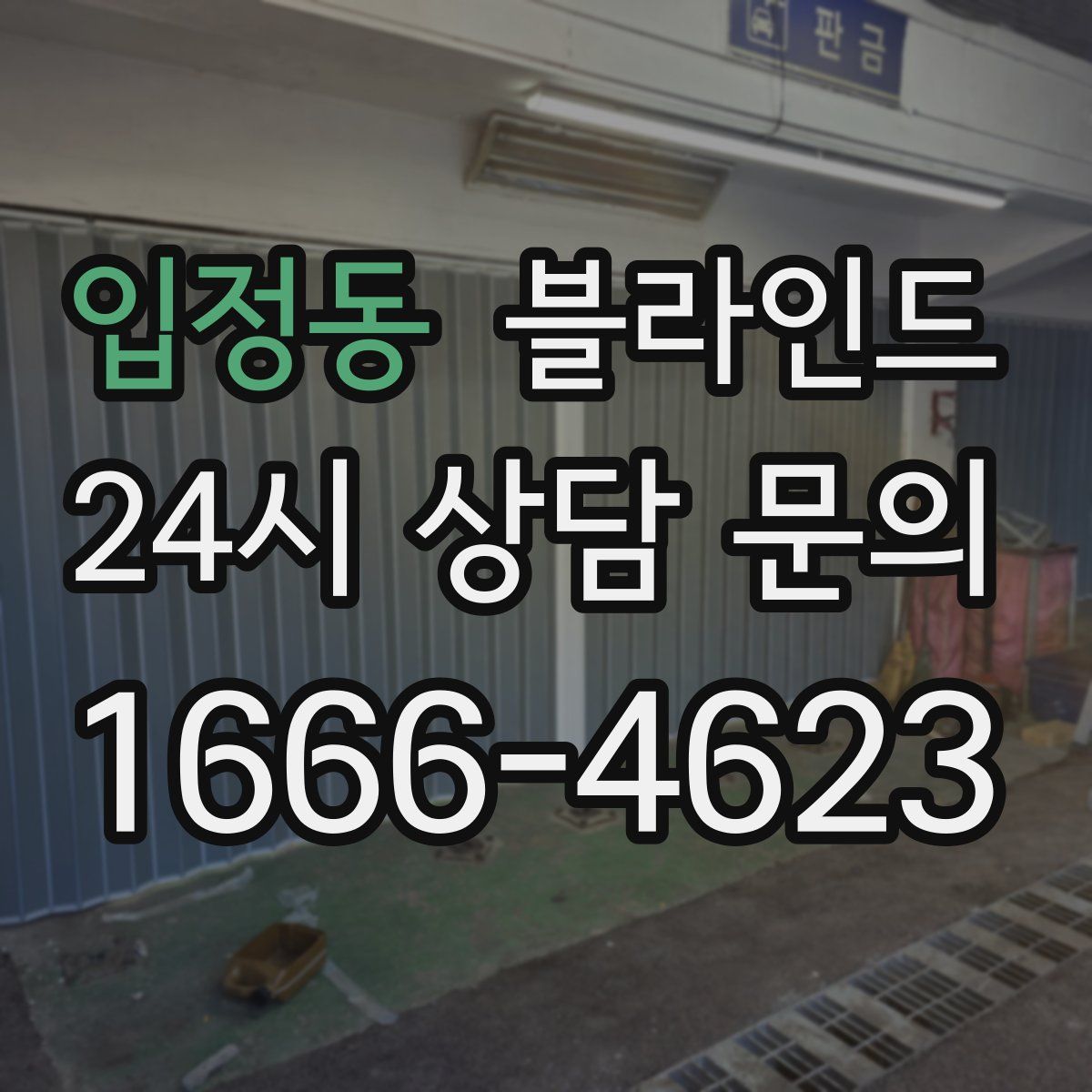 입정동 블라인드