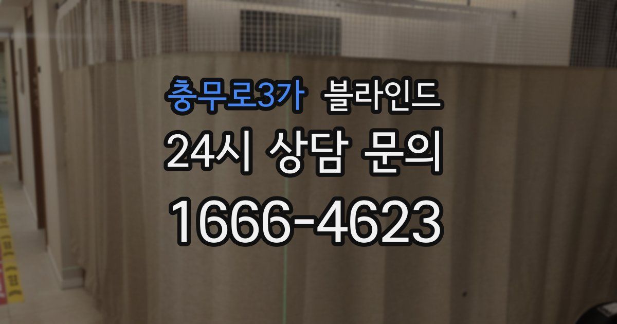 충무로3가 블라인드