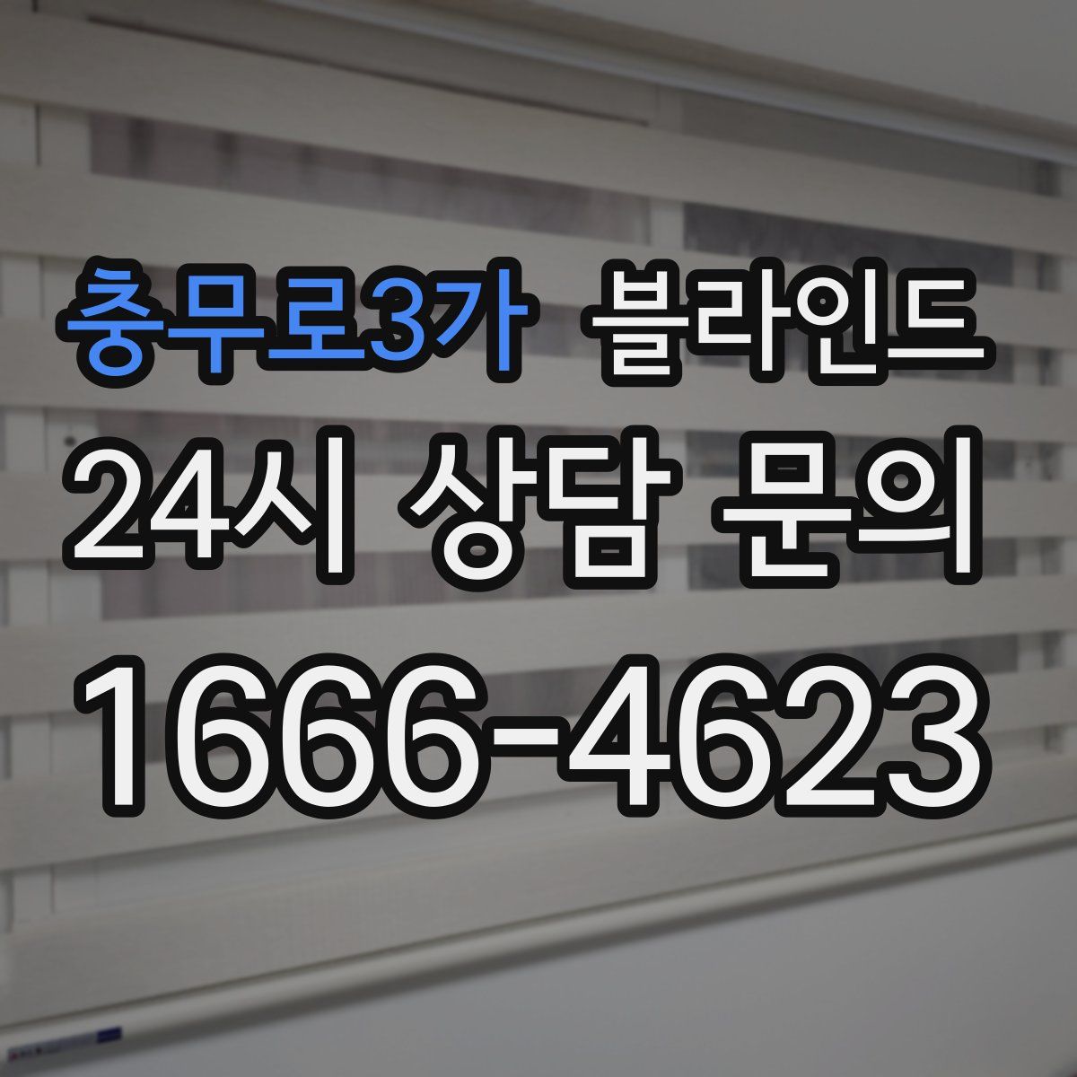 충무로3가 블라인드