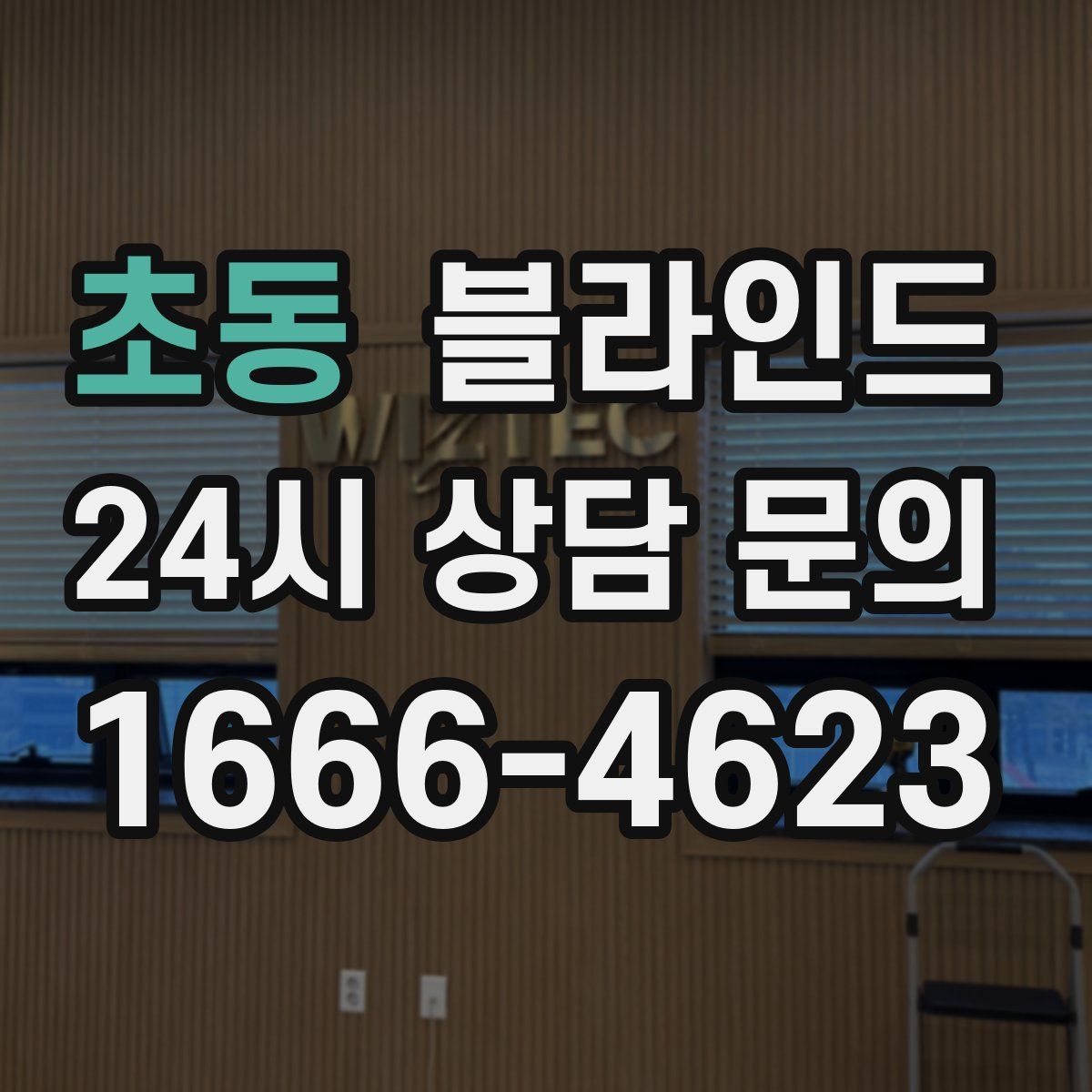 초동 블라인드