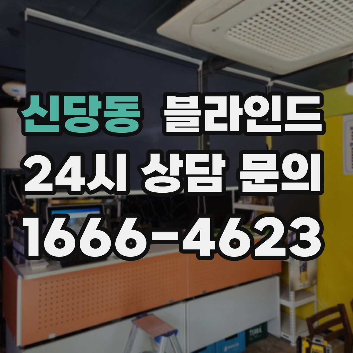 신당동 블라인드