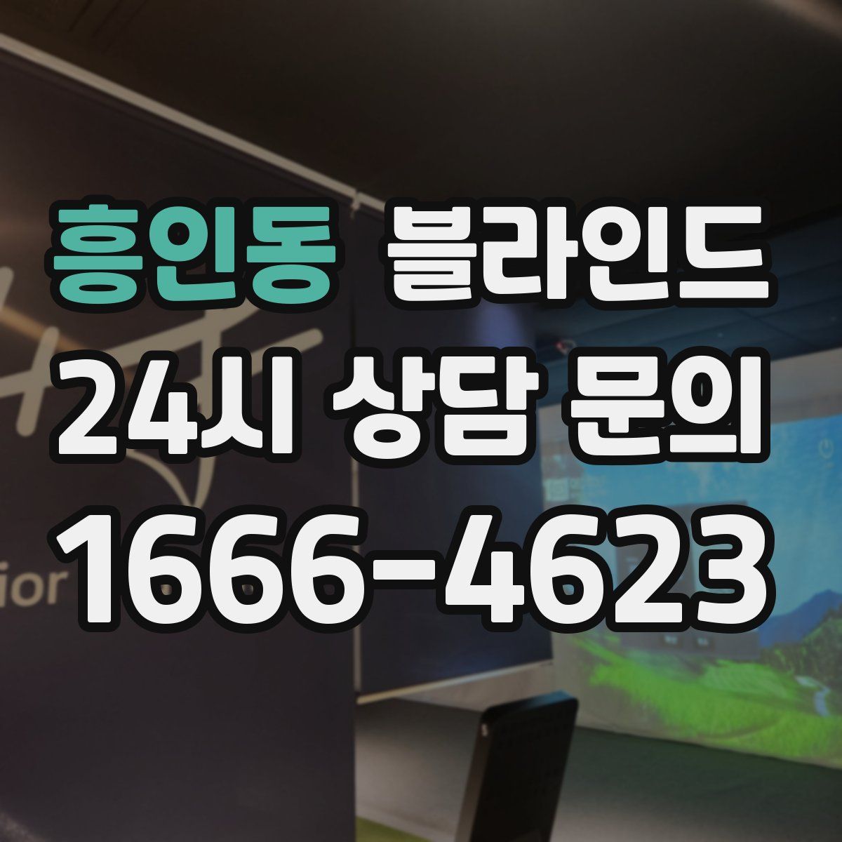흥인동 블라인드