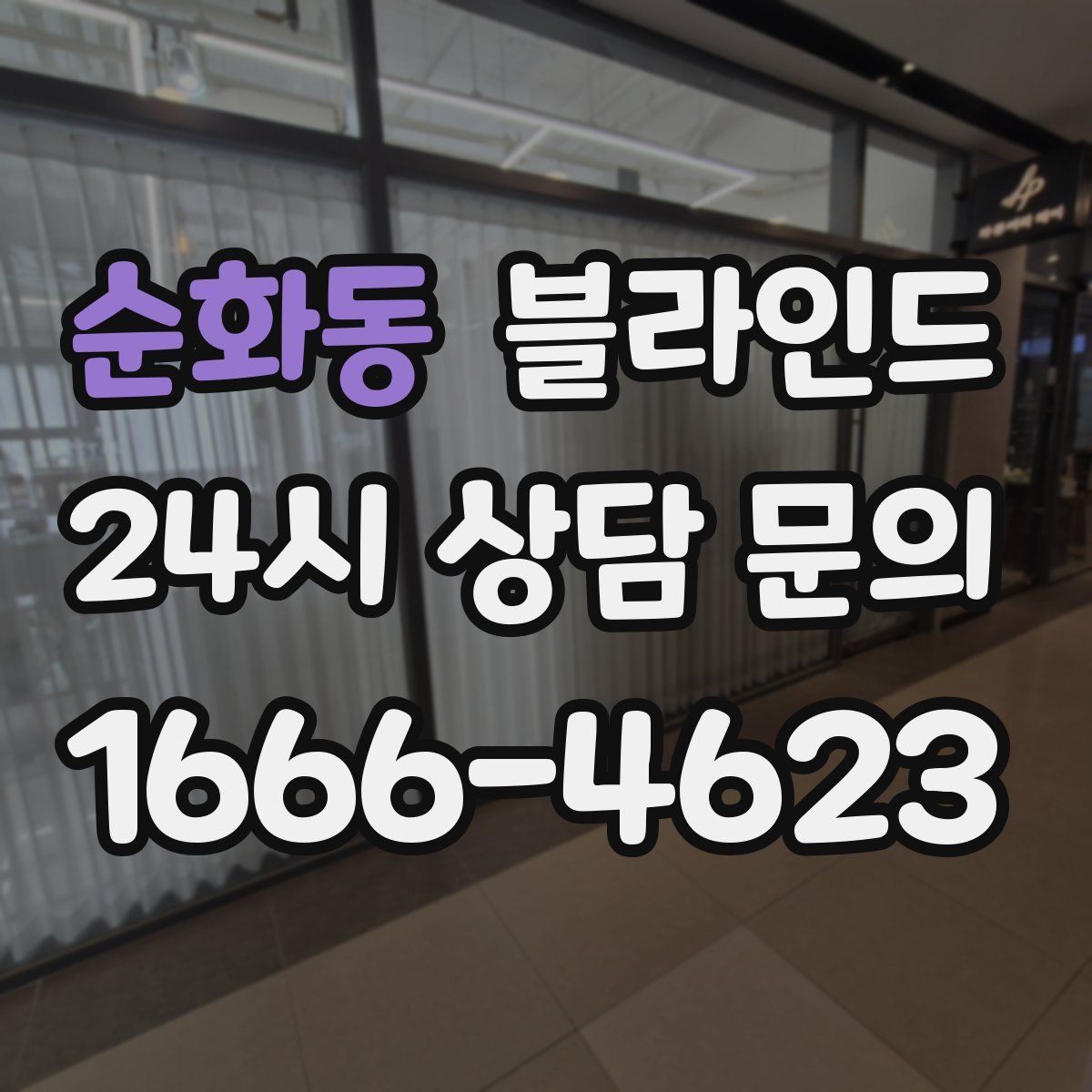 순화동 블라인드