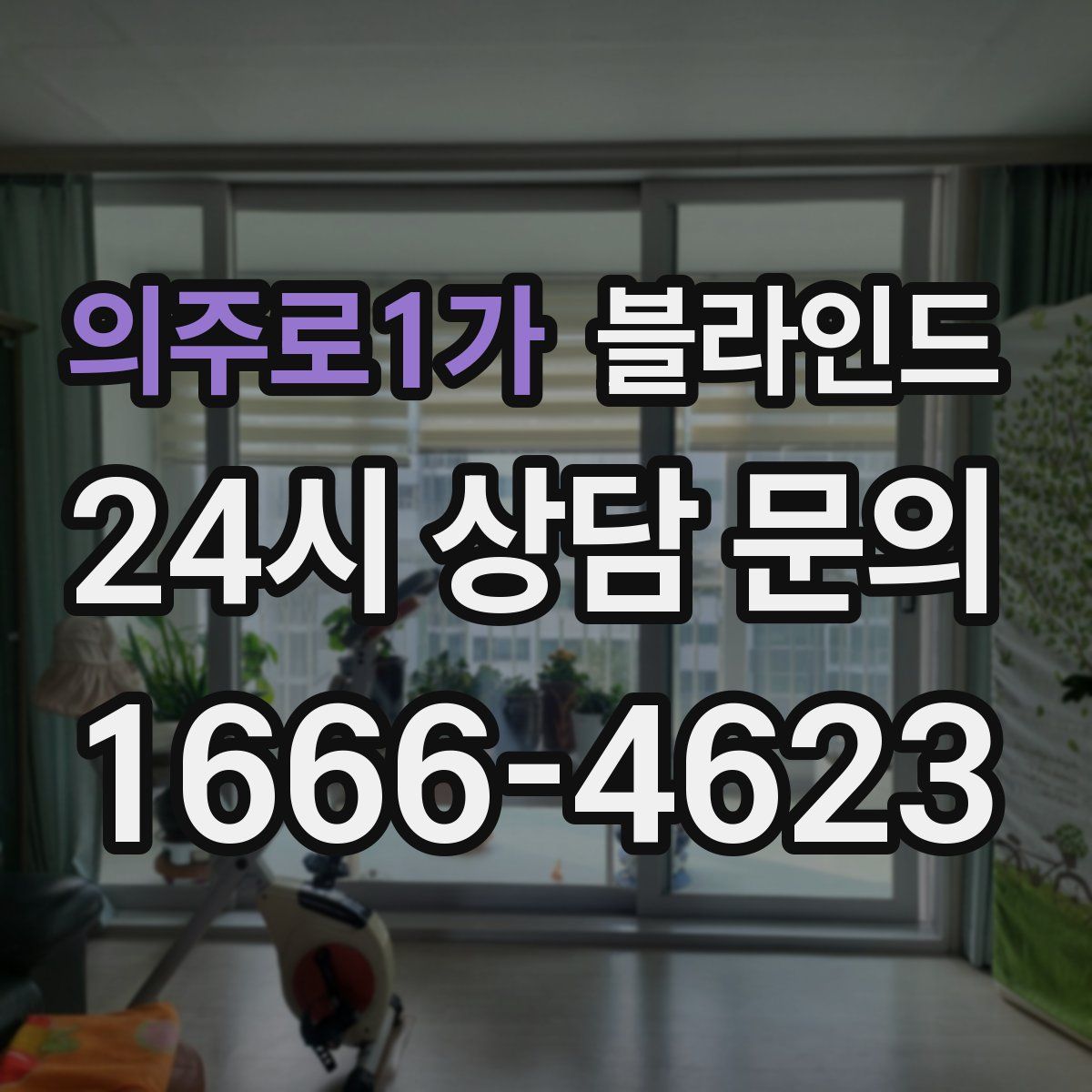 의주로1가 블라인드