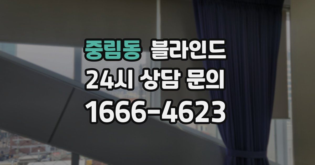 중림동 블라인드